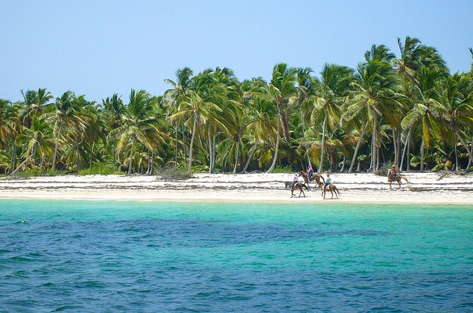 Punta Cana Horseback Riding Adventure - Value for $60: what you’re paying for