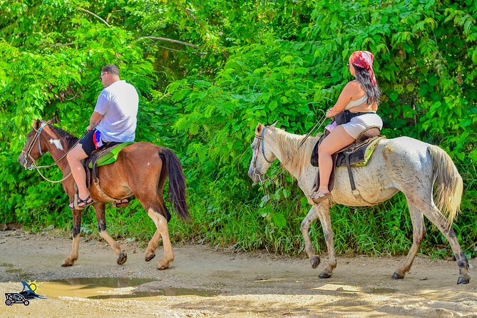 Punta Cana Horseback Riding Adventure on Macao Beach - Stop 2: Boogies Punta Cana and the Organic Farm Tastings