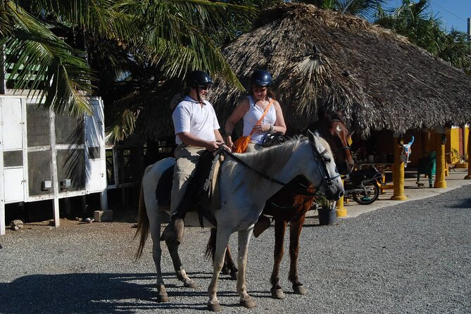 Punta Cana Horseback Riding on the Beach - Punta Cana Horseback Riding on the Beach in 2 Hours