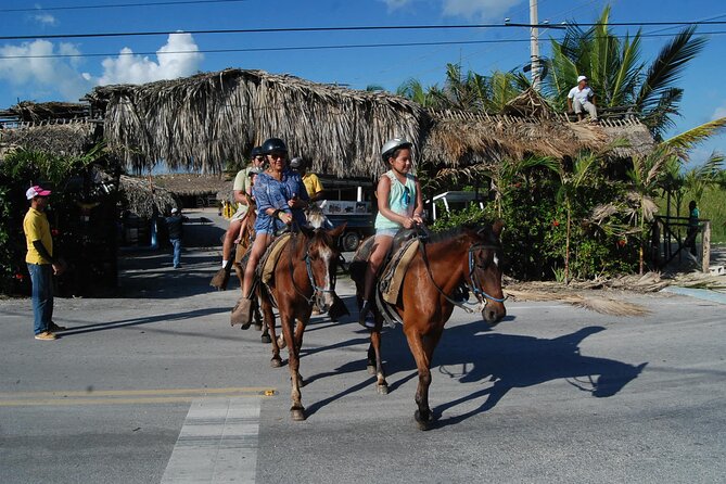 Punta Cana Horseback Riding on the Beach - From Stables to Saddle: Orientation and Helmet Time