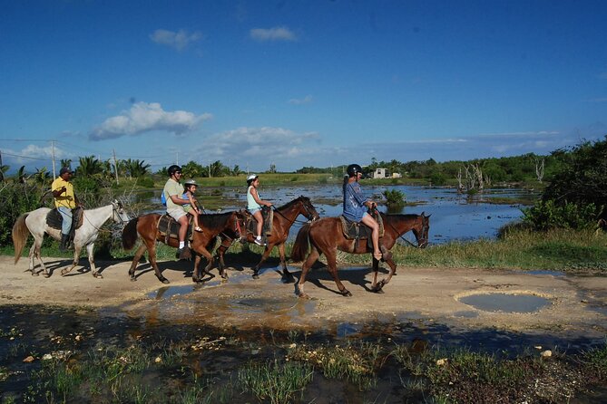 Punta Cana Horseback Riding on the Beach - Following the Coast: Trot-Walk-Rest with a Local Guide