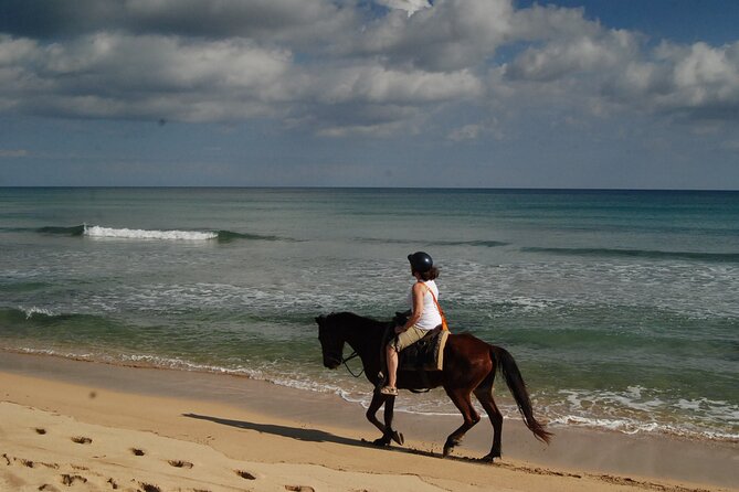 Punta Cana Horseback Riding on the Beach - The Mid-Ride Coconut Break and Water Moments