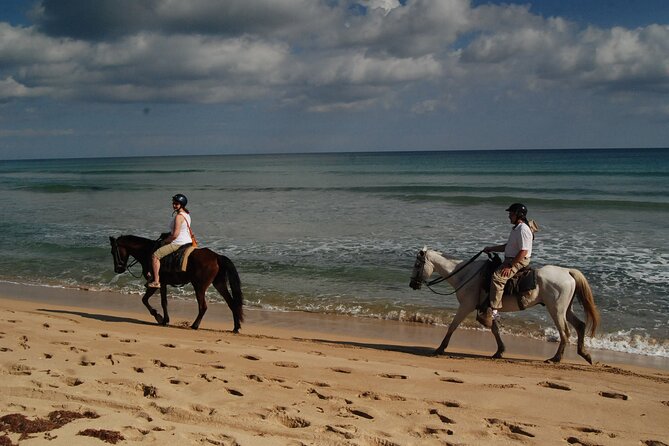 Punta Cana Horseback Riding on the Beach - Who This Punta Cana Beach Horse Ride Is Best For