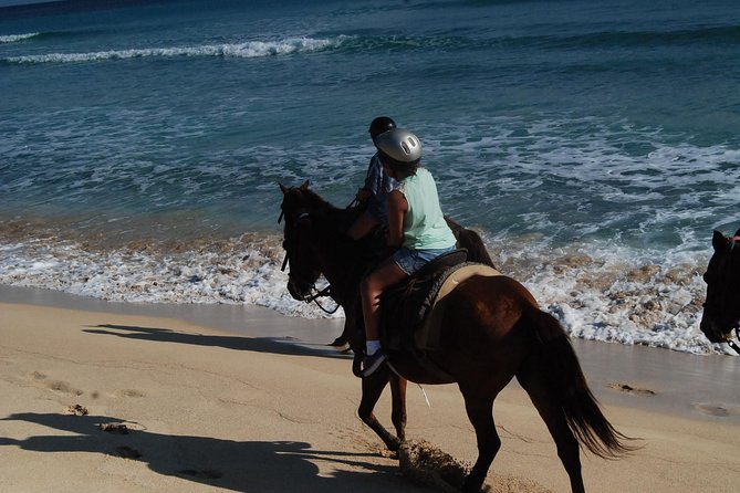 Punta Cana Horseback Riding on the Beach - Tips to Make the Ride Go Smoothly