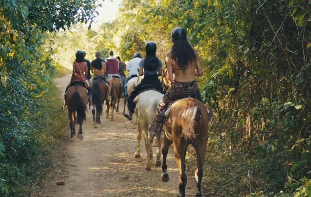 Punta Cana Horseback riding & Sunset + beach + free pick-up - Key things to know before you go