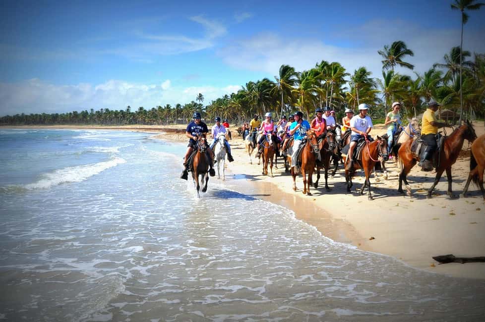 Punta Cana: Horseback Riding through Stunning Beaches - Meet Your Horse: The Quick Prep That Sets Your Comfort Level