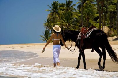 Punta Cana: Horseback Riding through Stunning Beaches - From Your Hotel to the Ranch: Logistics That Matter