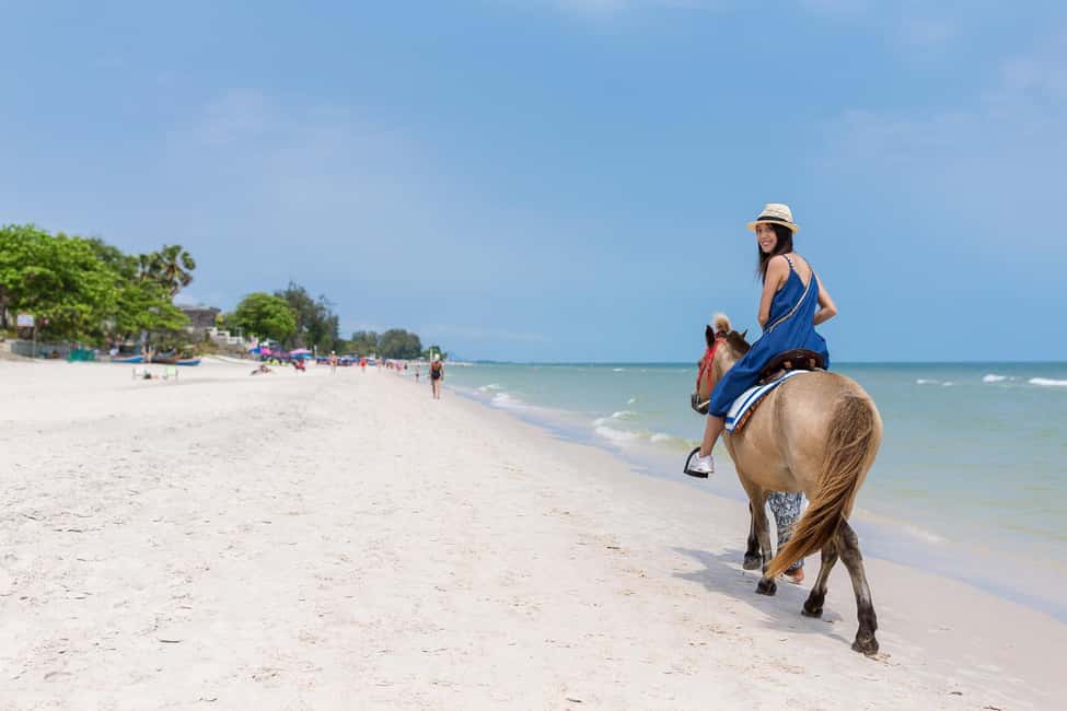 Punta Cana: Horseback Riding through Stunning Beaches - The First Act: Tropical Forest Strolls and Local Roads