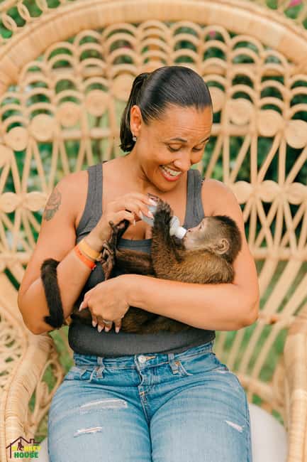 Punta Cana: Interactive Experience at Monkey House - Key takeaways before you book