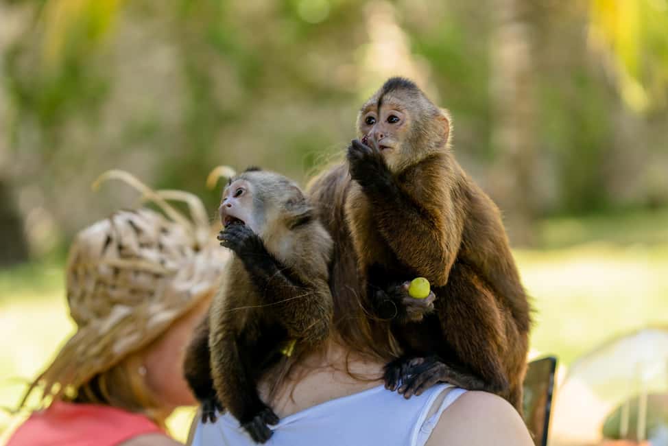 Punta Cana: Interactive Experience at Monkey House - The bottle-feeding moment: what you’re actually signing up for