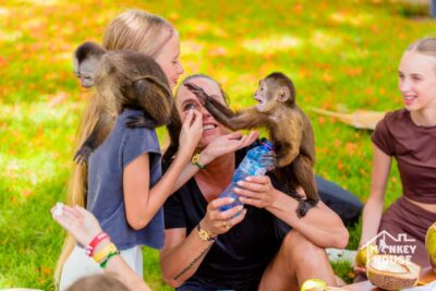 Punta Cana: Interactive Experience at Monkey House - Meeting four monkey species in their natural habitat