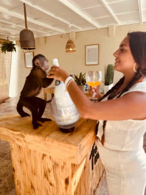 Punta Cana: Interactive Experience at Monkey House - Local store stop: souvenirs with actual local character