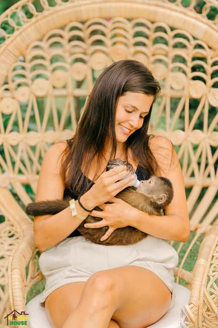 Punta Cana: Interactive Experience at Monkey House - Who should go (and who should skip Monkey House)