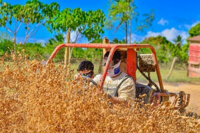 Punta Cana Jungle Buggy Tour: Macao Beach Visit and Cenote Swim - Start strong: resort pickup and the Buggy Ranch basics