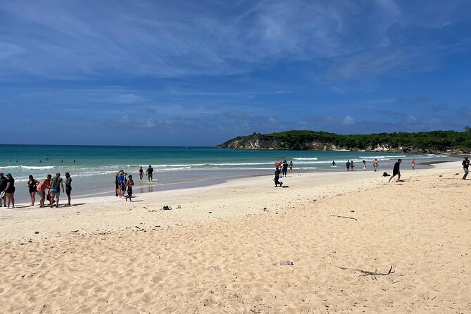 Punta Cana Jungle Buggy Tour: Macao Beach Visit and Cenote Swim - Guide and group energy: why it matters
