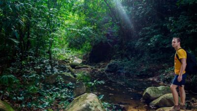 Punta Cana: Los Haitises Hike & Kayaking Mangroves - The Humid Forest Hike: Medicinal Plants and Broadleaf Stops