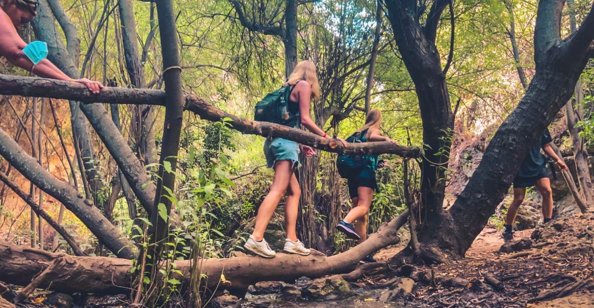 Punta Cana: Los Haitises Hike & Kayaking Mangroves - Who This Tour Suits Best (and Who Should Consider Alternatives)