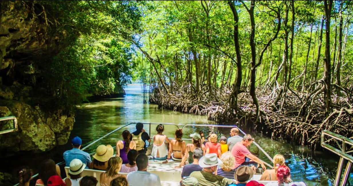 Punta Cana: Los Haitises National Park Full-Day Tour - Caño Hondo River Cruise: Mangroves, Birds, and San Lorenzo Bay