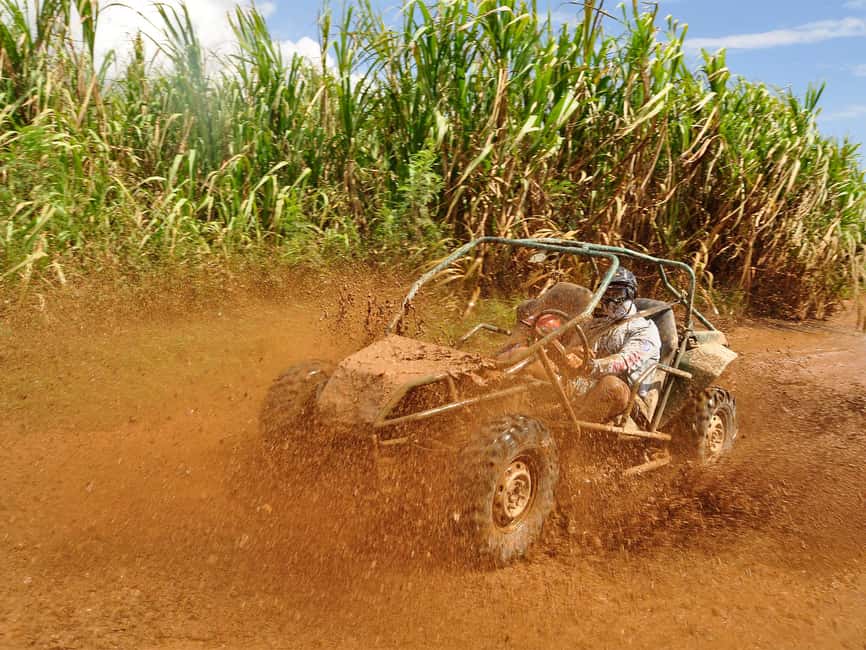 Punta Cana: Macao Beach Buggy Tour - Off-road buggy through sugar cane fields and rural trails