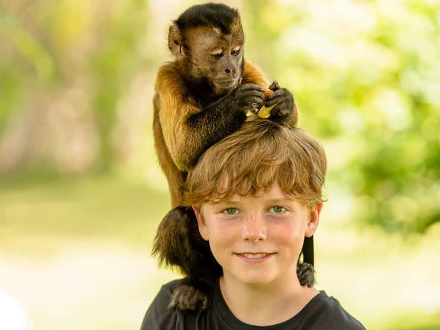 Punta Cana: Monkey Adventure by Jhoraji With Hotel Pick-Up - Hotel Pick-Up From Punta Cana: What to Check Before You Leave