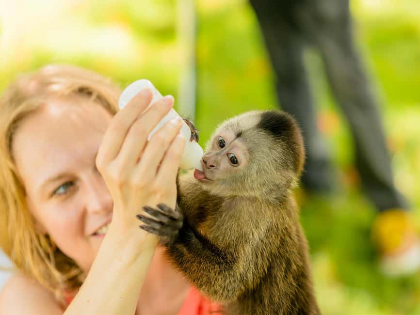 Punta Cana: Monkey Adventure by Jhoraji With Hotel Pick-Up - Photos, Videos, and the Big Upsell Moment: How to Avoid Regret