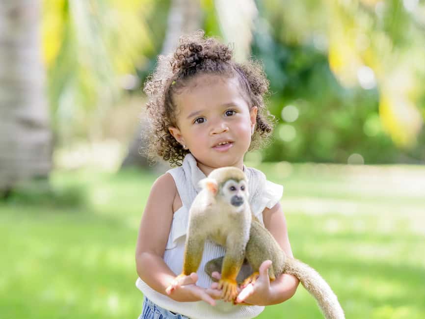 Punta Cana: Monkey Adventure by Jhoraji With Hotel Pick-Up - Final Verdict: Should You Book Punta Cana Monkey Adventure by Jhoraji?