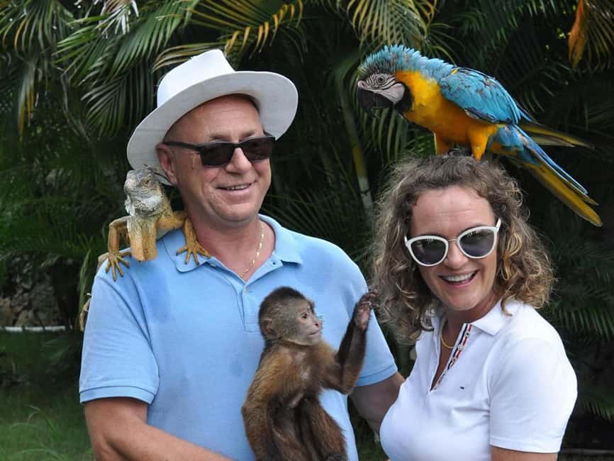 Punta Cana: Monkey Houses Private Tour - Monkey House and Parrots Park: what the experience is really like