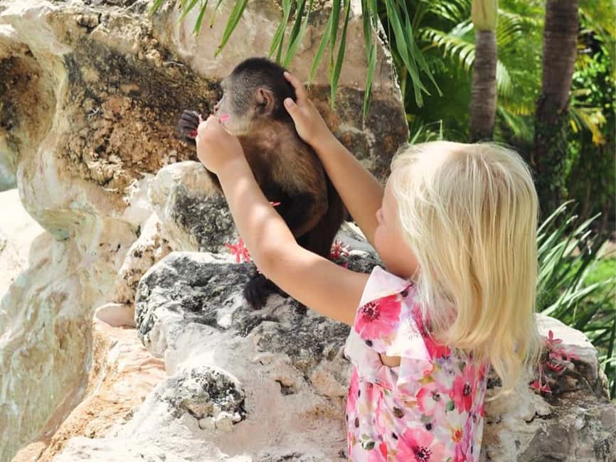 Punta Cana: Monkey Houses Private Tour - The pool break and the reset (about 30 minutes)