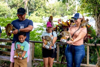 Punta Cana: Monkey Land Half-Day Safari and Plantation - Casa del Coco: coconut oil and fruit tastings in a real Dominican setting