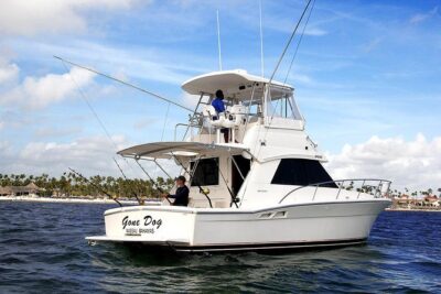Punta Cana Offshore Deep Sea Fishing Charter - Snorkeling Off the Boat: A Built-In Plan B