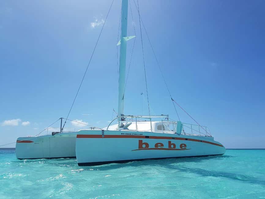 Punta Cana: Party Boat Catamaran Tour - Snorkeling in the Caribbean: What You Should Expect to See
