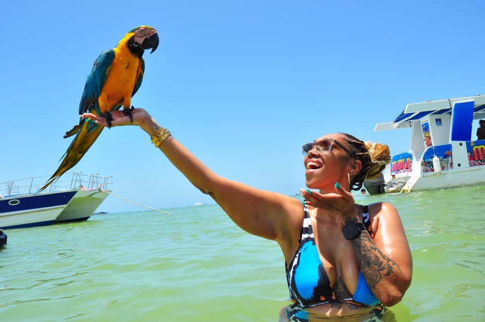Punta Cana: Party Boat with Snorkeling, Open Bar And Hip Hop - Who this Punta Cana party boat suits best