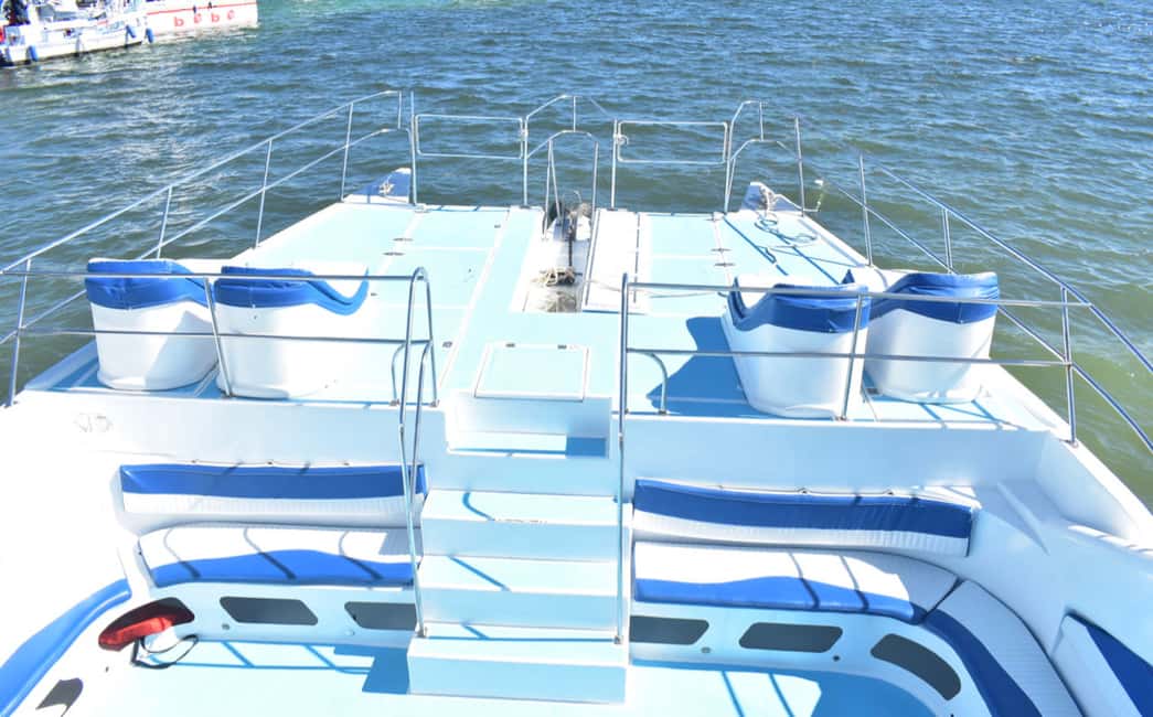 Punta Cana: Party Catamaran with Snorkeling & Private Beach - About Dolphins: The Technical Stop That Isn’t Guaranteed