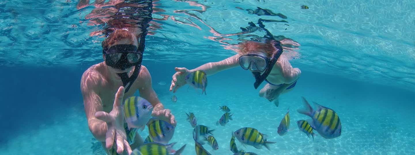 Punta Cana Private Catamaran (Small Group) - The Natural Pool Stop and the Floating Bar Moment