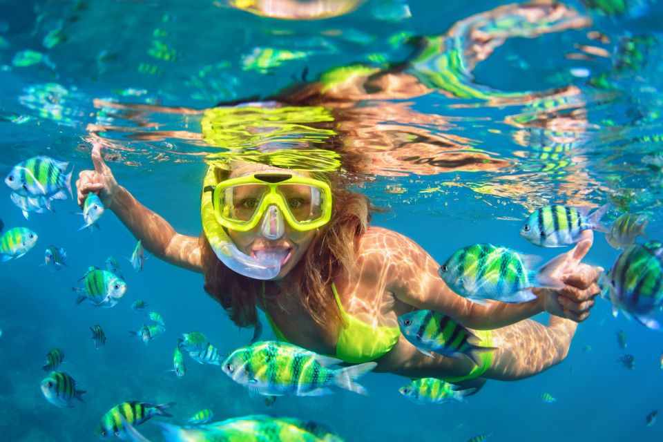 Punta Cana Private Catamaran (Small Group) - Price and Value: When $650 Makes Sense