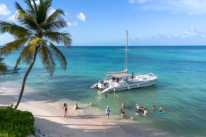 Punta Cana Private Catamaran with Snorkeling, Lunch & Open Bar - The 3-hour rhythm: pickup, cruise, snorkeling, beach time