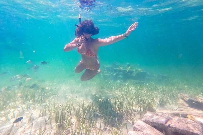 Punta Cana Private Cruise up to 10 people - Coral nursery snorkeling at Cabeza de Toro Reef near Cape Engaño