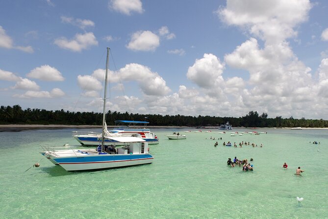 Punta Cana Private Cruise up to 10 people - The coral museum and interpretation center: why it’s more than a quick stop