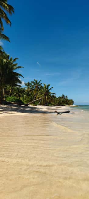 Punta Cana : Private yacht Snorkeling, Lagoon and Wild Beach - Snorkeling on the reef: what you’re really paying for