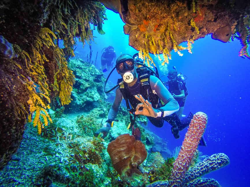 Punta Cana: Reef Diving Adventure Explore Underwater Wonders - What the 5-Hour Punta Cana Plan Really Feels Like
