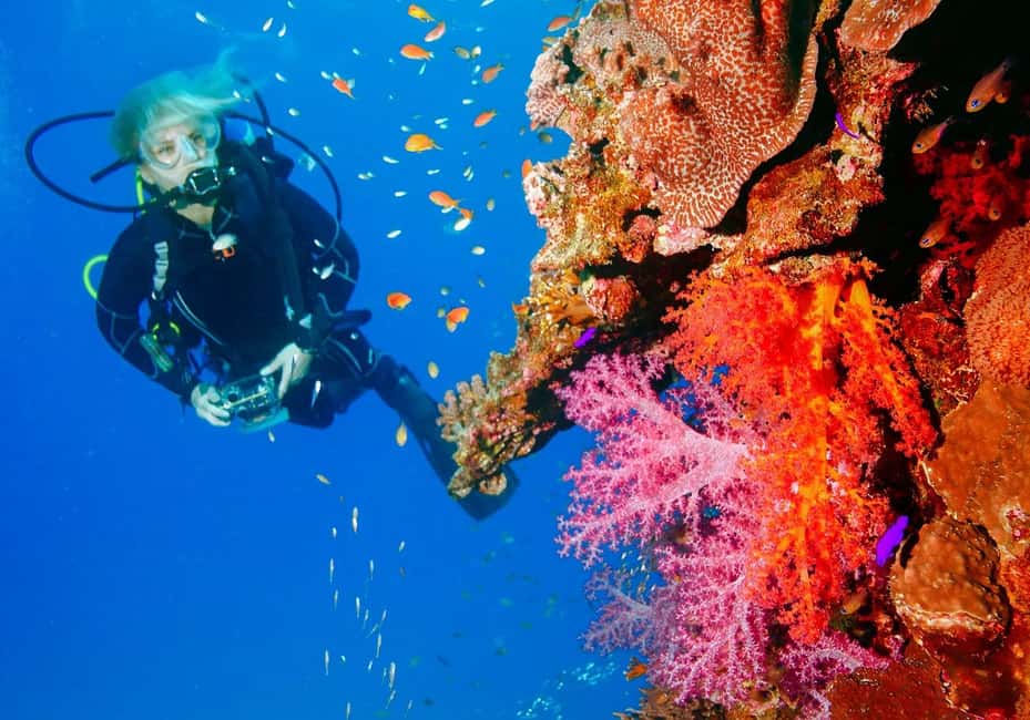 Punta Cana: Reef Diving Adventure Explore Underwater Wonders - From Hotel Lobby to Reef: The Flow You Should Expect