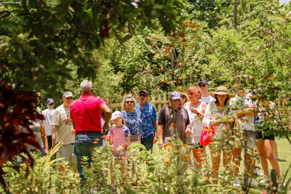 Punta Cana safari experience and historical city tour - Higüey Market and the Rhythm of Everyday Dominican Shopping