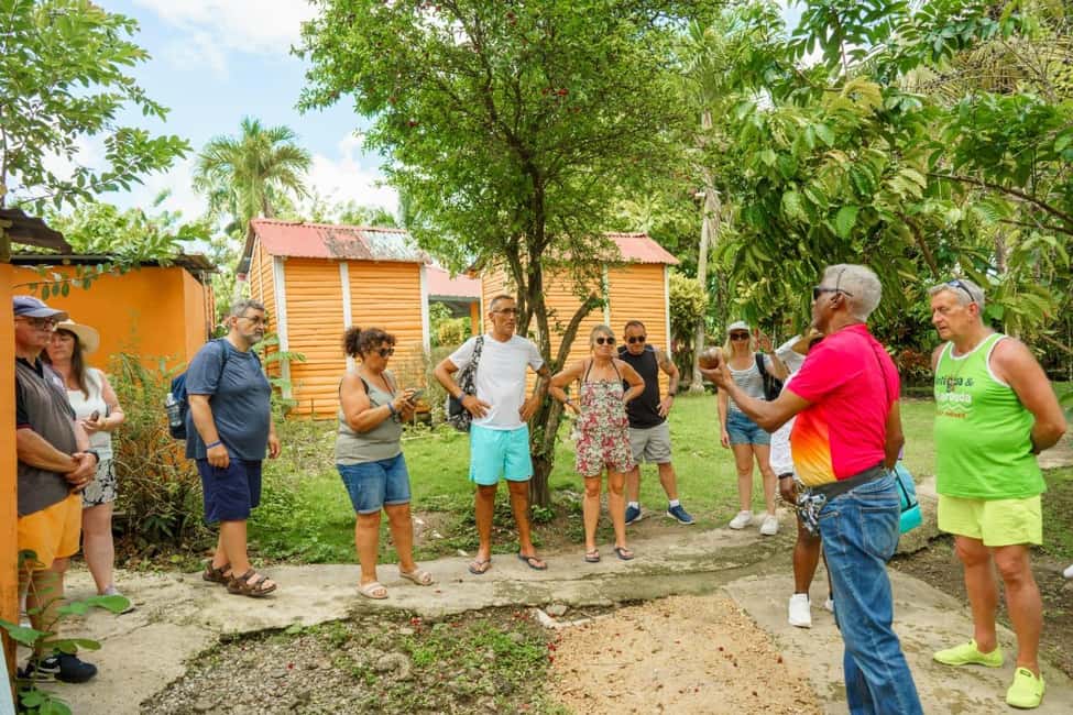 Punta Cana safari experience and historical city tour - Price and Value: Is $52 a Good Deal?