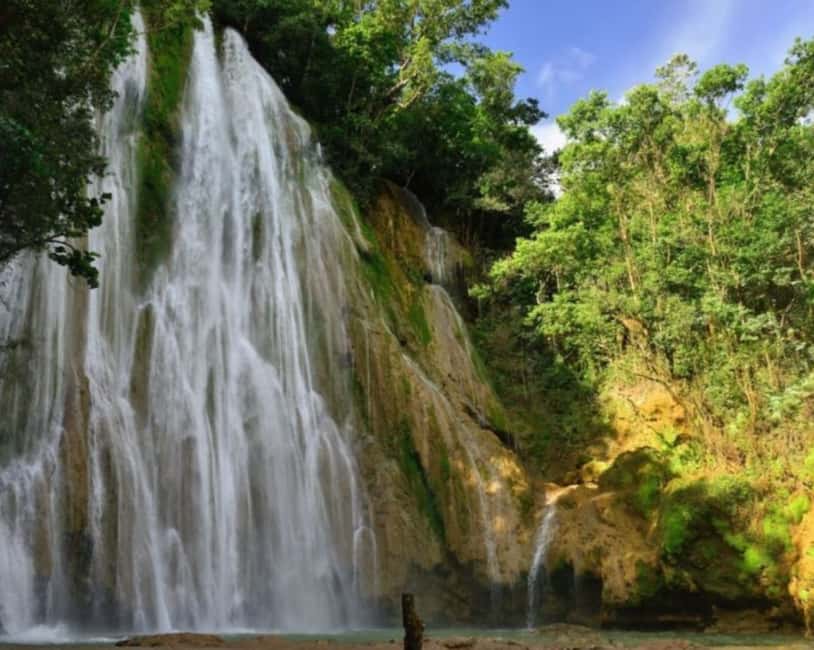 Punta Cana: Samana Bay Full-Day Experience - Why This Samaná Bay Day Feels Worth the Time