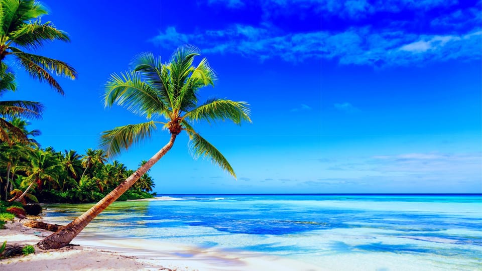 Punta Cana: Samaná Day Tour with Horse Ride and Cruise - Who should book this Punta Cana to Samaná day tour