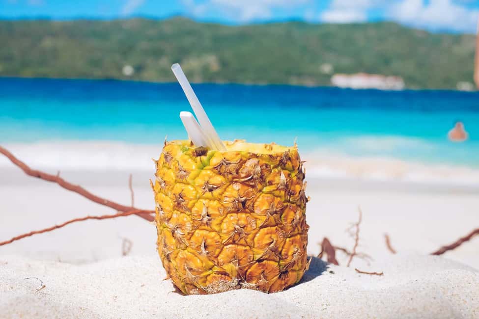 Punta Cana: Samana Full Day Trip Whale Cascada El Limon - Key things to know before you go