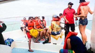 Punta Cana: Samana Full Day Trip Whale Cascada El Limon - What’s included in your food, drinks, and comfort