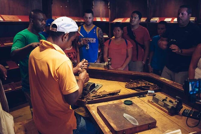 Punta Cana: Samaná, Lemon Falls and Bacardi Island - Bacardi Island: why the boat time is worth factoring in