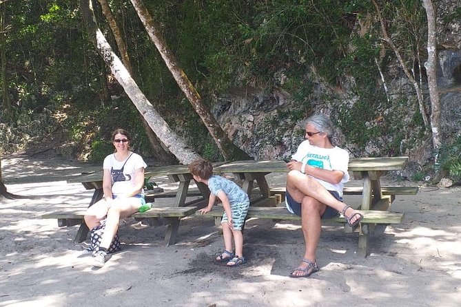 Punta Cana: Samaná, Lemon Falls and Bacardi Island - Why mangroves and Taino context matter on a day trip