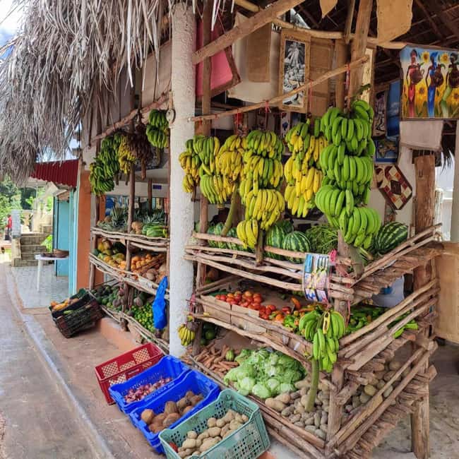 Punta Cana: Samana safari between waterfalls and beaches - From Punta Cana to Miches: the early start that sets the tone